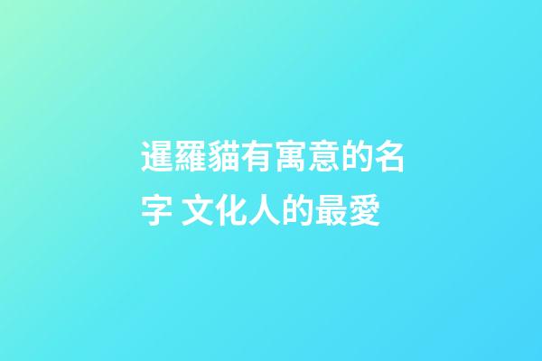 暹羅貓有寓意的名字 文化人的最愛